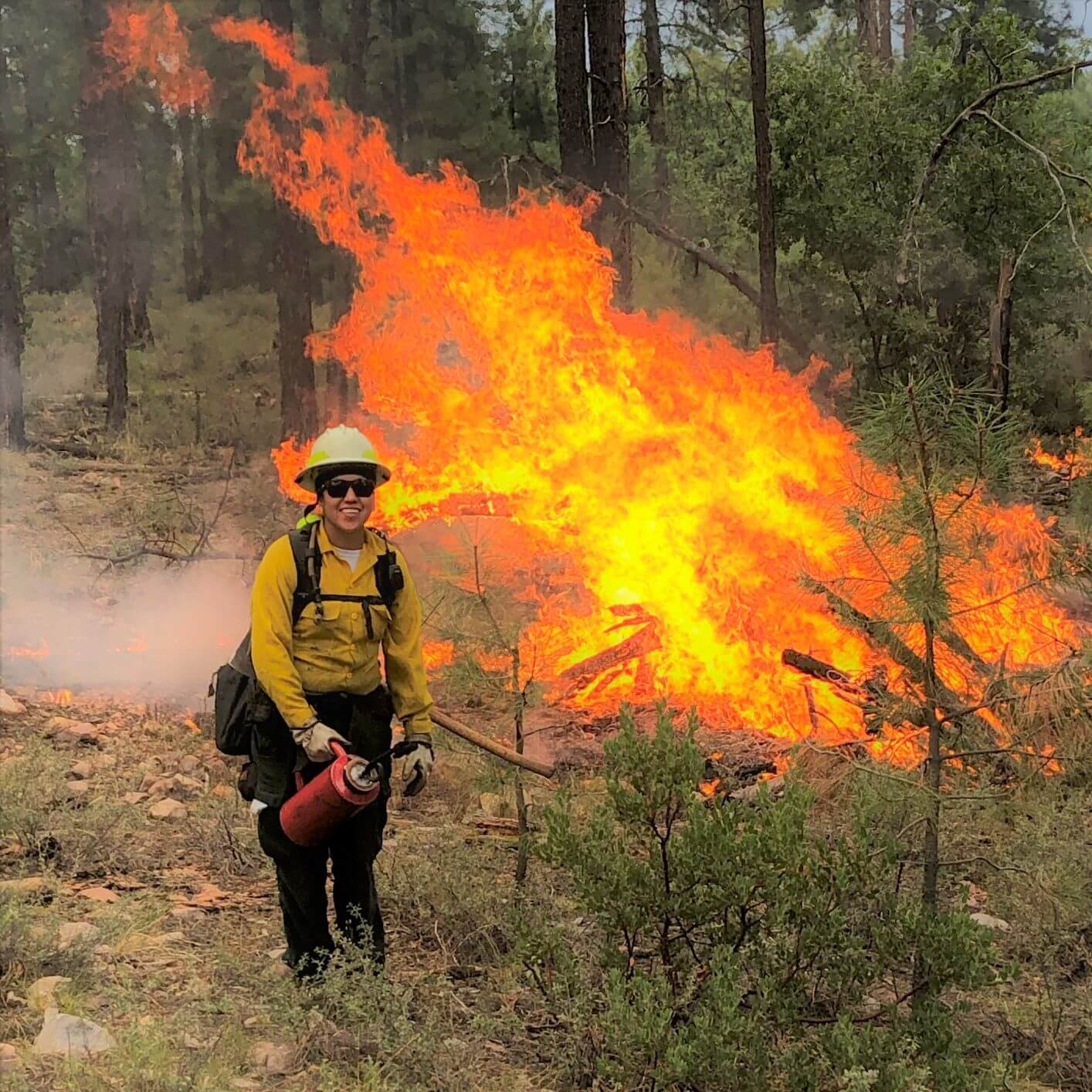 A fuels management specialist works on a prescribed burn.
