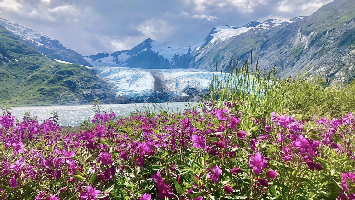 Alaskan landscape